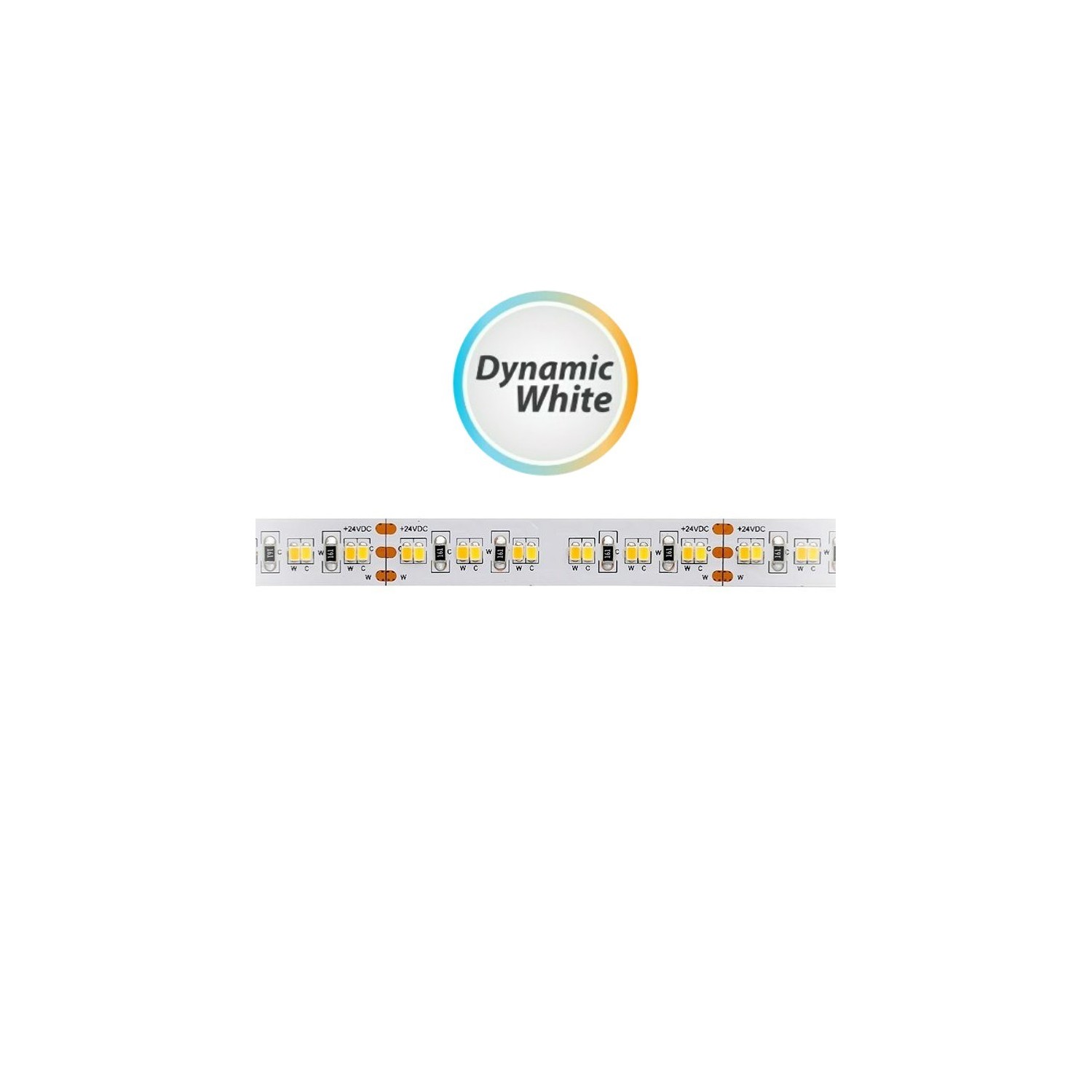 Professione Led Striscia Led Mt Smd Led Ip Bianco Dinamico