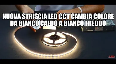 Nuova striscia LED CCT cambia colore da Bianco Caldo a Bianco Freddo